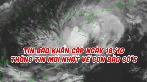 Tin bão khẩn cấp ngày 18/10: Thông tin mới nhất về cơn bão số 5