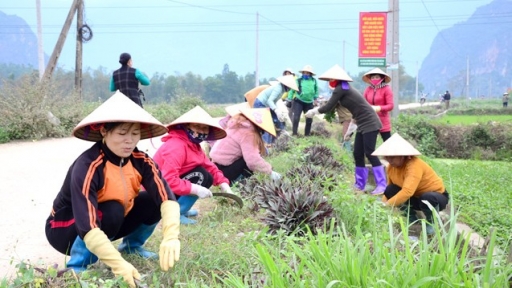 5 giải pháp giúp nâng cao vai trò của phụ nữ trong xây dựng nông thôn mới