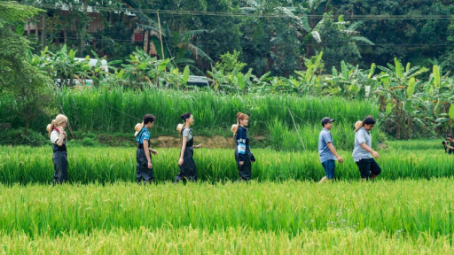 Tại sao Pù Luông là điểm đến không thể bỏ qua hè này?