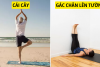 6 bài tập yoga nhẹ nhàng và an toàn cho người cao tuổi