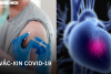 CDC Mỹ: Không tìm thấy mối liên quan giữa vắc-xin COVID-19 và tử vong do bệnh tim ở người trẻ