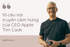 10 câu nói truyền cảm hứng của CEO Apple Tim Cook