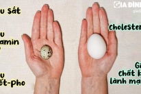 Trứng cút và trứng gà khác nhau ở đâu, ăn trứng nào bổ nhất?
