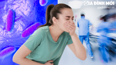 8 dấu hiệu nhiễm vi khuẩn Salmonella: Khi nào cần đi khám bác sĩ?