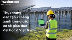 Thực trạng đào tạo kĩ năng xanh trong các cơ sở giáo dục đại học ở Việt Nam