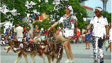 Từ 27/5, dắt thú cưng, mang loa kéo vào phố đi bộ Hồ Gươm bị phạt tới 500.000 đồng