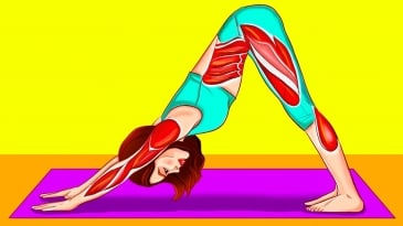 6 bài tập yoga 10 phút giúp giảm mỡ, lên múi bụng số 11 ngay tại nhà, hiệu quả không kém đi gym