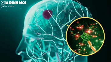 Loại thuốc mới giúp giảm tế bào não chết ở bệnh nhân đột quỵ