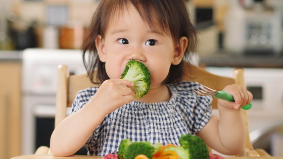 Nghĩ ăn càng nhiều càng tốt, cha mẹ ép con ăn rau mà không biết đang hại con