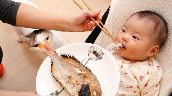 Cho trẻ ăn hải sản cần lưu ý gì để tránh bị dị ứng, ngộ độc?