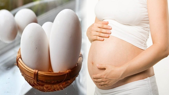 Bà bầu ăn trứng ngỗng có thực sự tốt cho mẹ và bé?