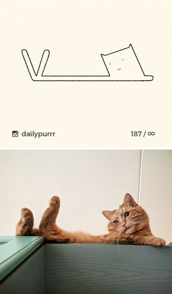 Loạt tranh vẽ mèo của nghệ sĩ tối giản nhưng chính xác, IQ trên 200 mới tưởng tượng ra 20