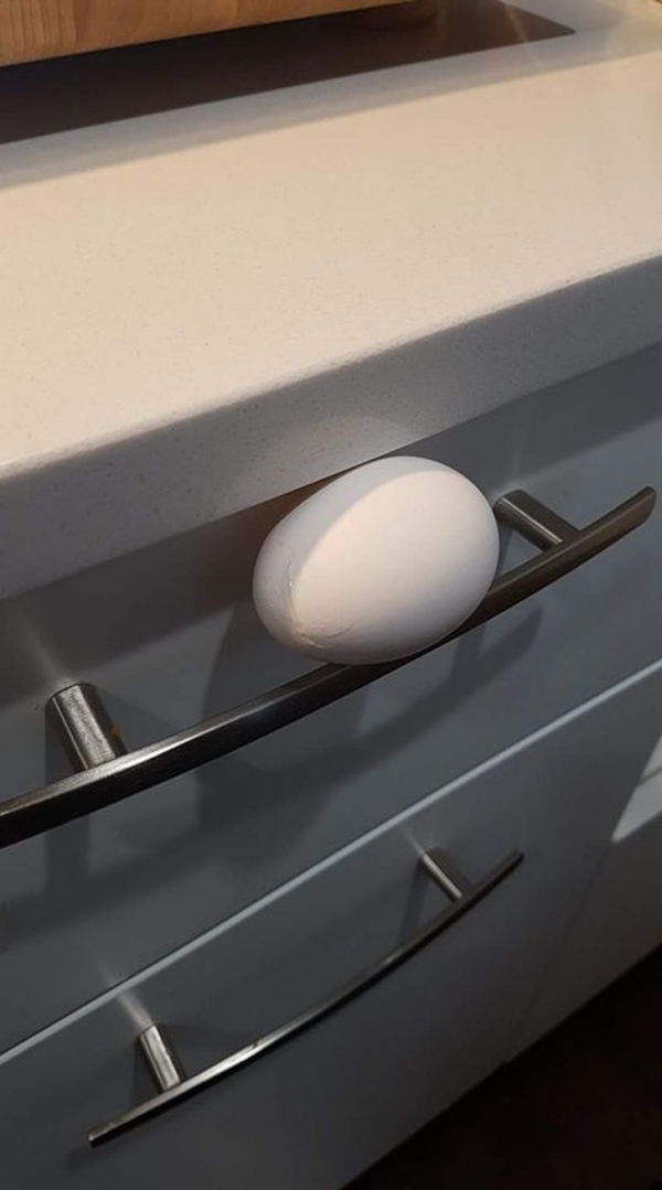 Một quả trứng sống lăn từ trên bàn bếp và mắc kẹt ở đây