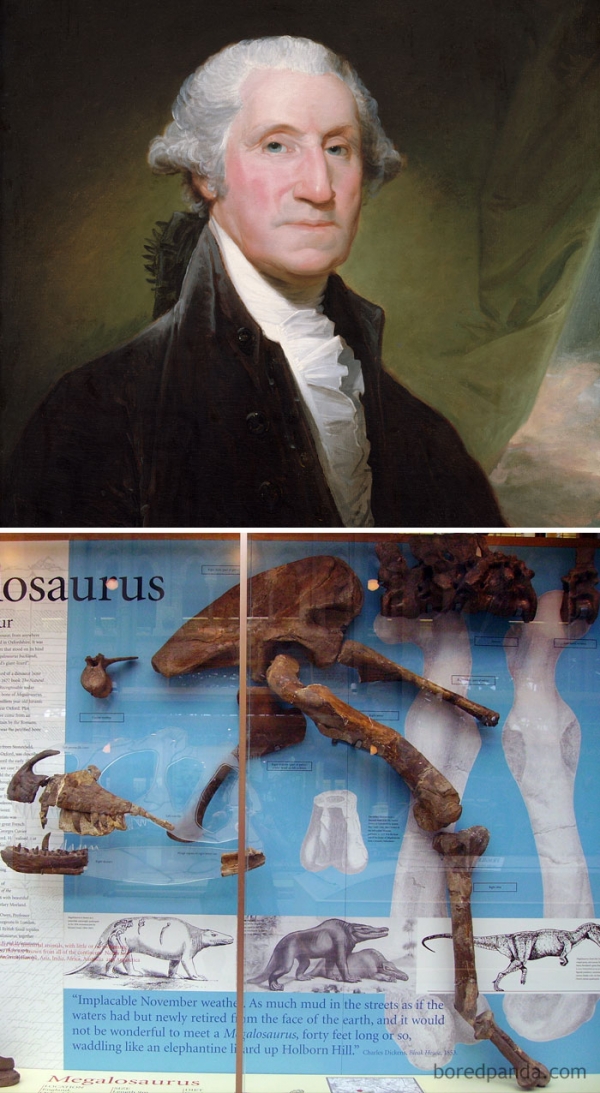   George Washington đã chết năm 1799. Hóa thạch khủng long đầu tiên được phát hiện vào năm 1824  