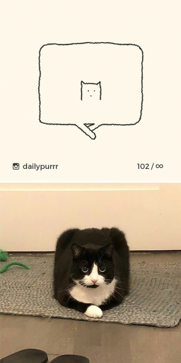 Loạt tranh vẽ mèo của nghệ sĩ tối giản nhưng chính xác, IQ trên 200 mới tưởng tượng ra 10