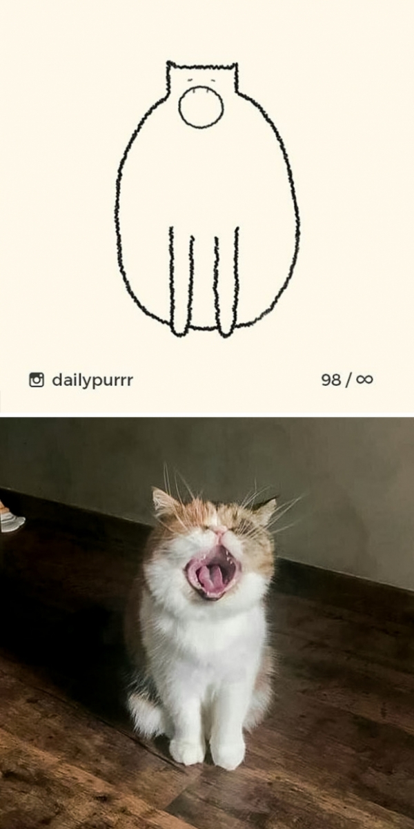 Loạt tranh vẽ mèo của nghệ sĩ tối giản nhưng chính xác, IQ trên 200 mới tưởng tượng ra 21