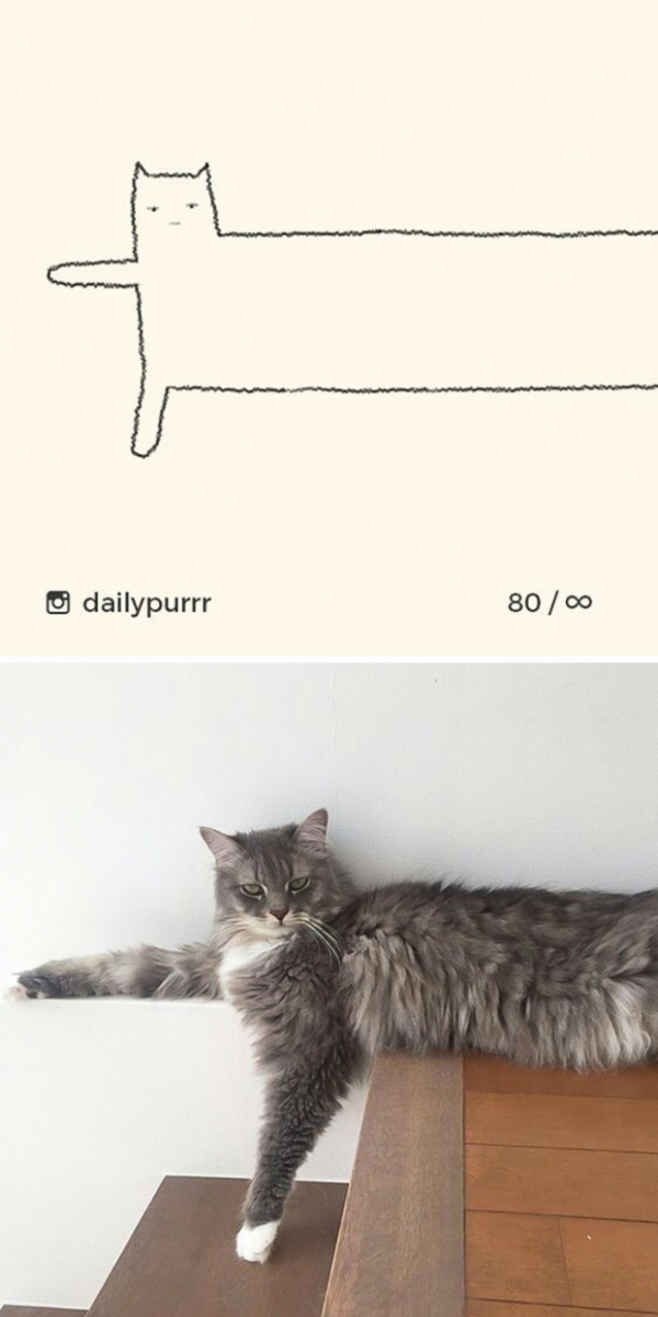 Loạt tranh vẽ mèo của nghệ sĩ tối giản nhưng chính xác, IQ trên 200 mới tưởng tượng ra 23
