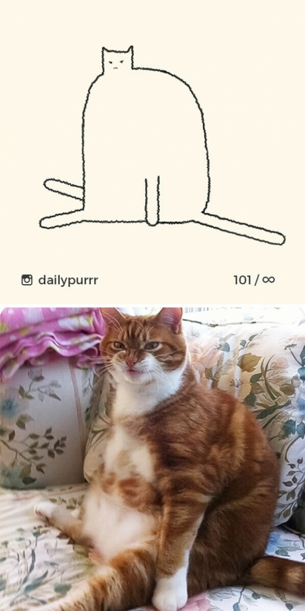 Loạt tranh vẽ mèo của nghệ sĩ tối giản nhưng chính xác, IQ trên 200 mới tưởng tượng ra 24