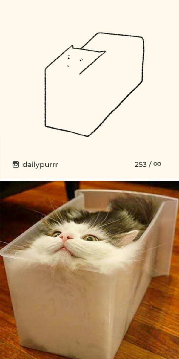 Loạt tranh vẽ mèo của nghệ sĩ tối giản nhưng chính xác, IQ trên 200 mới tưởng tượng ra 3