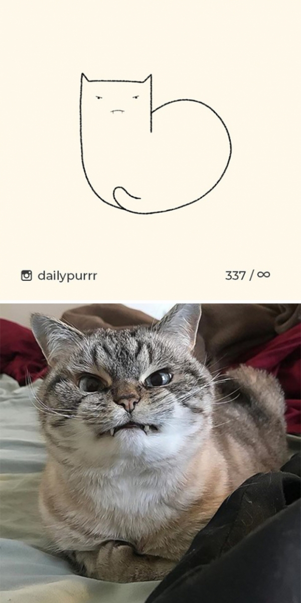 Loạt tranh vẽ mèo của nghệ sĩ tối giản nhưng chính xác, IQ trên 200 mới tưởng tượng ra 4