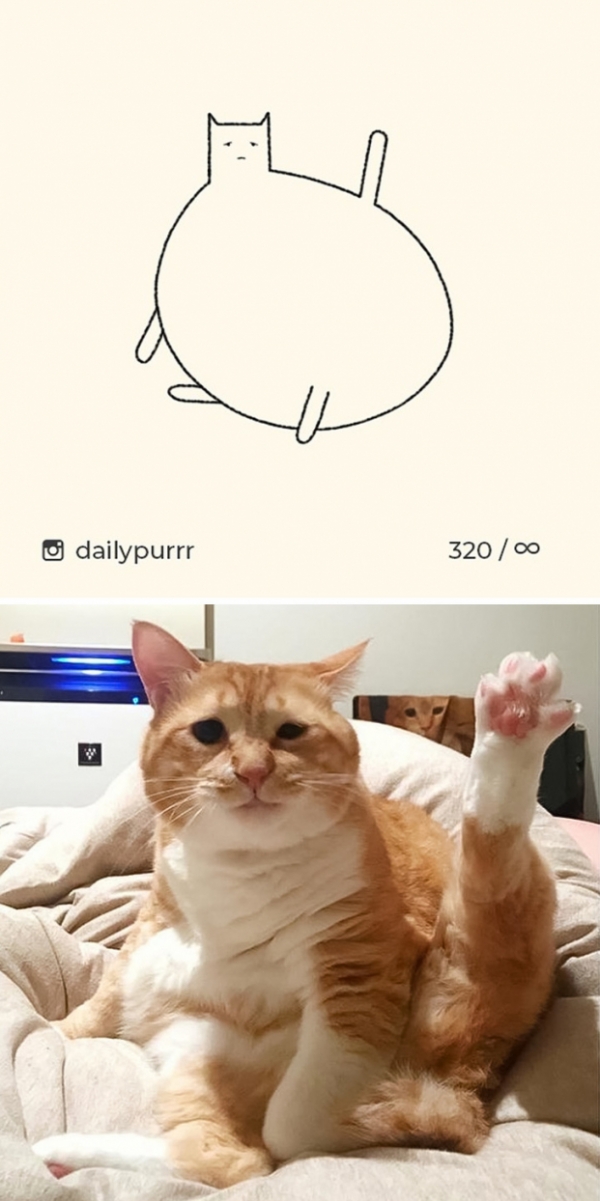 Loạt tranh vẽ mèo của nghệ sĩ tối giản nhưng chính xác, IQ trên 200 mới tưởng tượng ra 6