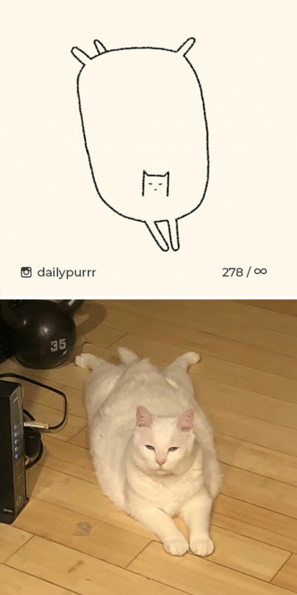 Loạt tranh vẽ mèo của nghệ sĩ tối giản nhưng chính xác, IQ trên 200 mới tưởng tượng ra 8