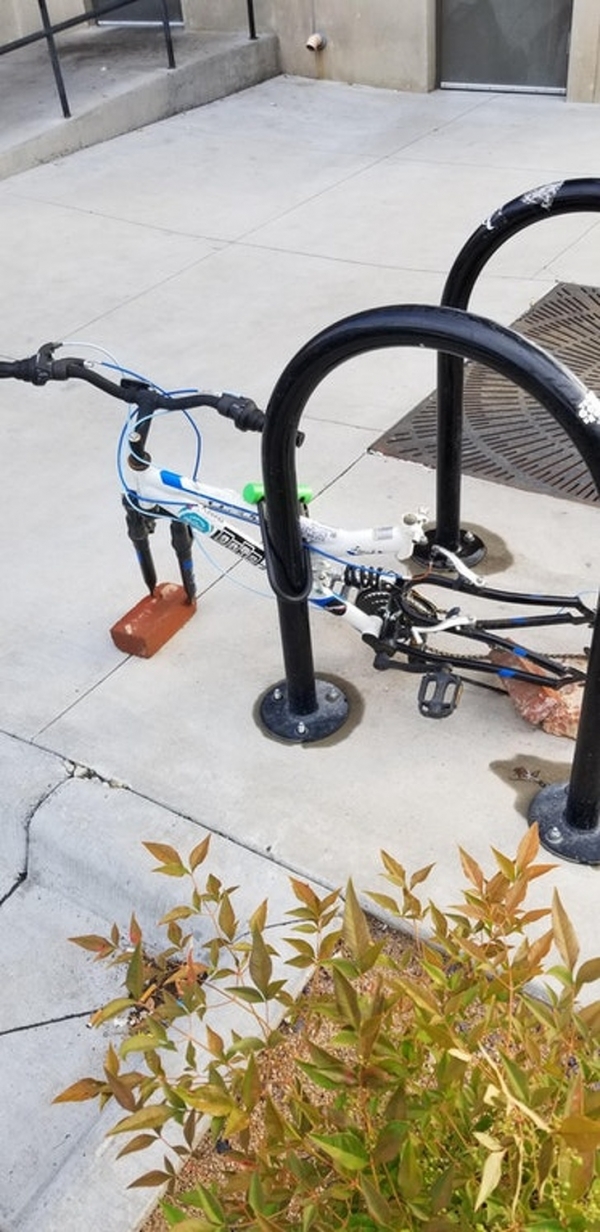 Chiếc xe đạp này có vẻ được bảo vệ tuyệt đối