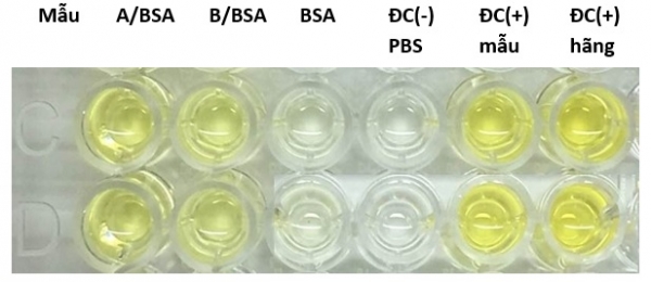   Đánh giá hoạt tính của kháng thể antiA-scFv bằng ELISA  