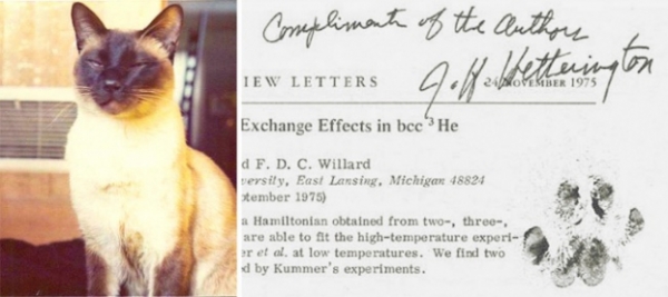  Con mèo này là đồng tác giả của một bài báo vật lý. FDC Willard (viết tắt của Felis Domesticus Chester) trở thành đồng tác giả của một bài báo được trích dẫn tốt với chủ nhân của mình, Giáo sư Jack H. Hetherington , một nhà vật lý và toán học người Mỹ vào năm 1975.  