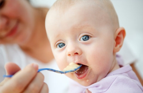 Có nên cho trẻ ăn bột lắc sữa?