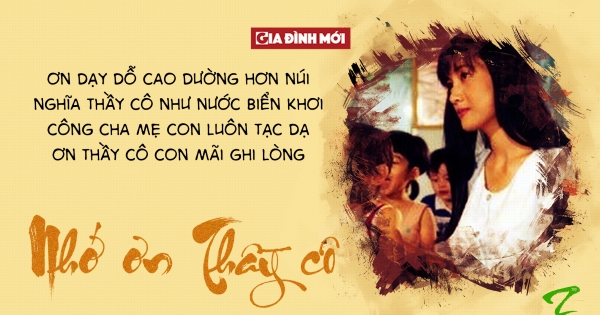 Thư gửi thầy cô giáo nhân ngày 20/11 bằng tiếng Anh và tiếng Việt ý nghĩa