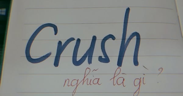 crush nghĩa là gì - Crush nghĩa là gì? Các cách dùng từ crush trong tiếng Anh