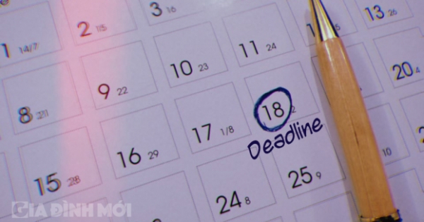 Tại sao nhiều người sử dụng cụm từ “bị deadline dí” trong công việc? 

