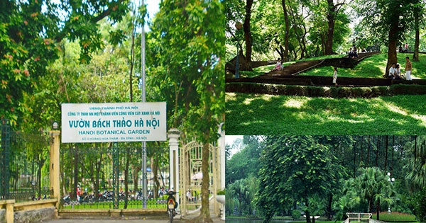 Lịch mở cửa, giá vé công viên Bách Thảo Hà Nội mới nhất