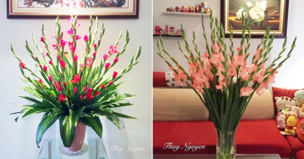 3 cách cắm hoa lay ơn để bàn ngày Tết tuyệt đẹp, ai vào nhà cũng ...