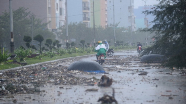   Đường phố Đà Nẵng sau cơn bão lịch sử Xangsane (Ảnh: Tuổi Trẻ)  