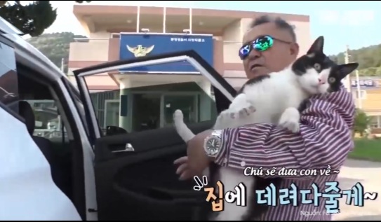 Thanh niên mèo 'dại gái' nhất Hàn Quốc: Đi 8 km trong đêm để đến nhà người yêu 0