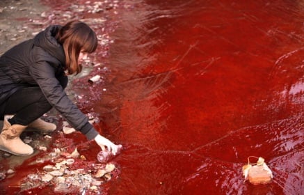 Bức ảnh này chụp tại một con sông bị ô nhiễm, tại thành phố Lạc Dương, tỉnh Hà Nam, Trung Quốc, được chụp vào ngày 13 tháng 12 năm 2011. Khi được hỏi, người dân đã giải thích rằng ô nhiễm đã được gây ra bởi 2 nhà máy hóa chất bất hợp pháp xả thải ra sông.
