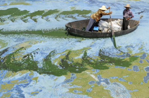   2 ngư dân Trung Quốc đi qua một con sông đầy tảo  