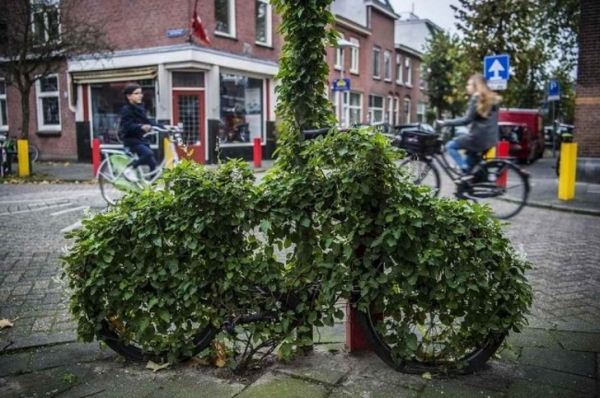 Xe đạp bị quên lãng của ai đó ở Hà Lan