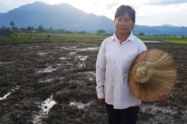 Một phụ nữ người Việt Nam đứng ở cánh đồng của cô ấy. Nơi có cơn bão lớn, ngập lụt vừa đi qua. Cô ấy nói chỉ cần người dân không sao, còn của cải có thể làm lại được