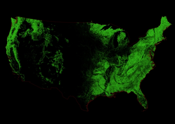   Bản đồ che phủ rừng của Hoa Kỳ. Màu sắc chỉ rõ sự phân bố rừng, chỗ màu đen là nơi rừng bị phá hủy, chỗ có màu xanh đậm là nơi rừng cây phát triển tốt.  