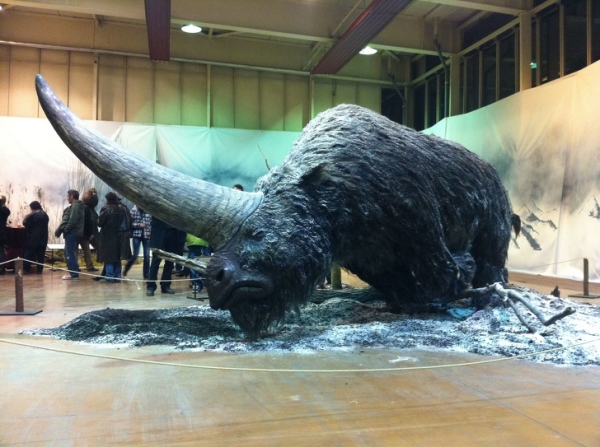 Elasmotherium, một con kỳ lân lông lớn tồn tại từ 29.000 năm trước