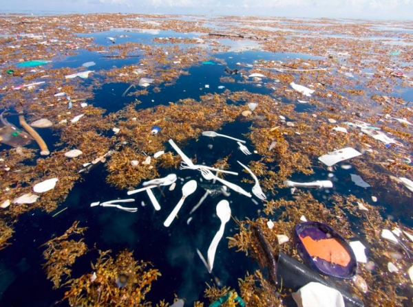Đây là một nơi của vùng biển Caribbean. Người ta cho rằng những rác thải sinh hoạt này được đổ ra từ sông Montigua địa phương.