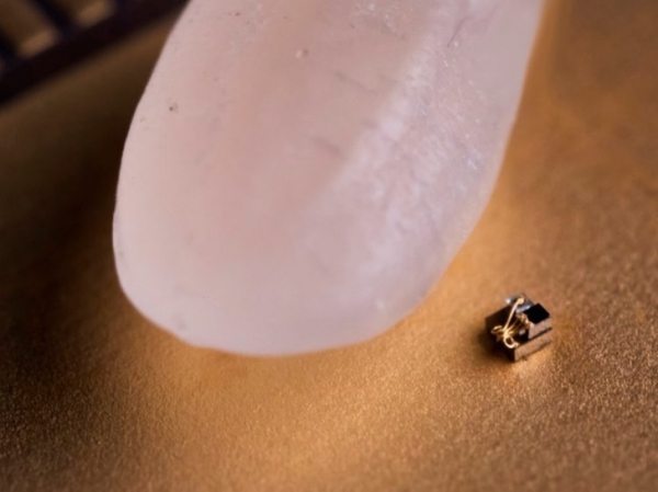 Máy tính nhỏ nhất trên thế giới đặt cạnh một hạt gạo