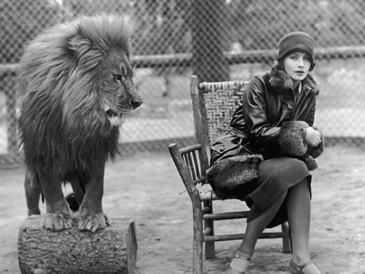   Một Greta Garbo khó chịu khi đặt chân với Lion Lion của MGM, 1926  