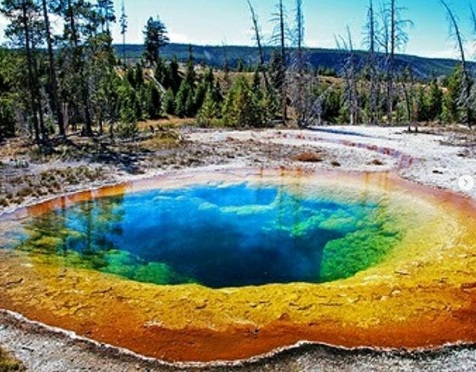   Màu sắc khác biệt của hồ bơi này tại Công viên quốc gia Yellowstone là do vi khuẩn sống trong nước  