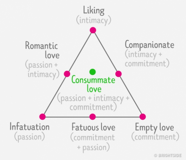 Các nhà tâm lý học định nghĩa 7 loại tình yêu, cái cuối cùng rất ít người trải nghiệm 2