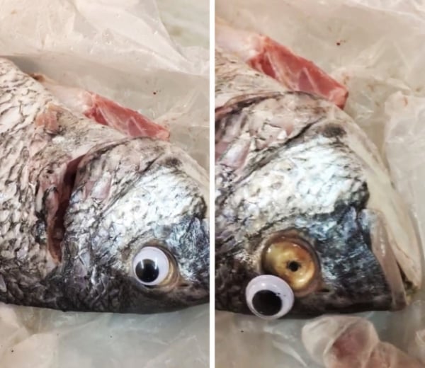   Người bán hàng dùng mắt cả nhựa để giả rằng cá còn tươi  