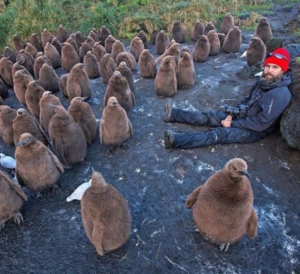 Nơi những con chim cánh cụt nghỉ ngơi